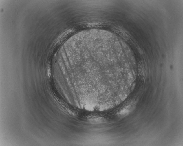 X0000079280648200612081754