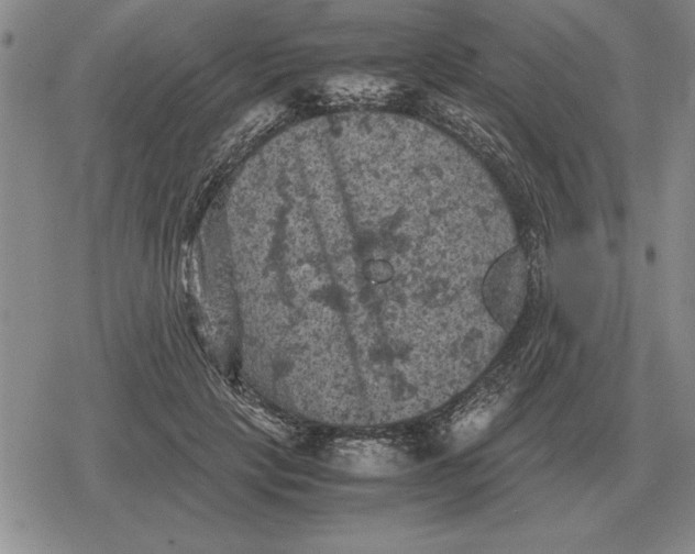 X0000079280649200612081754