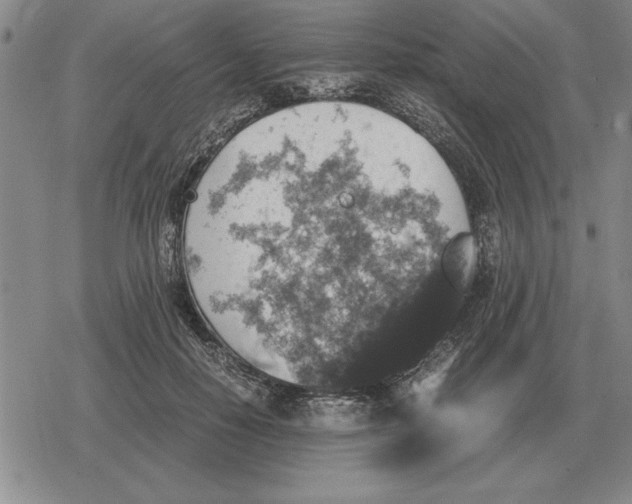 X0000079280650200612081754