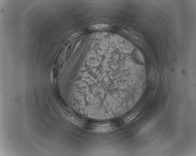 X0000079280651200612081754