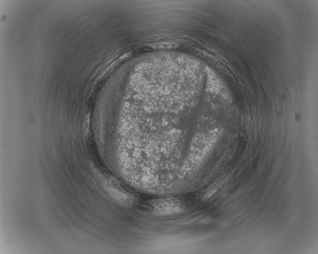 X0000079280652200612081754