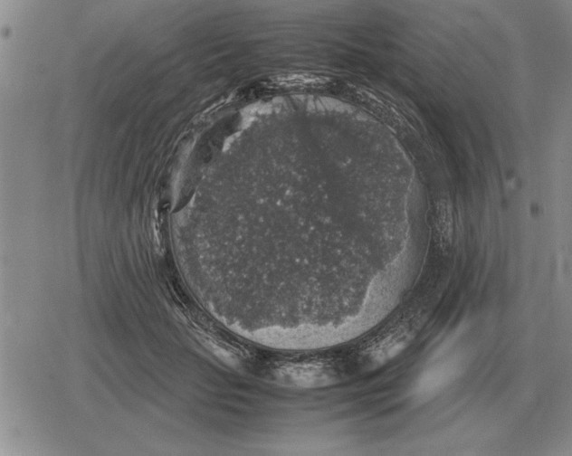 X0000079280653200612081754