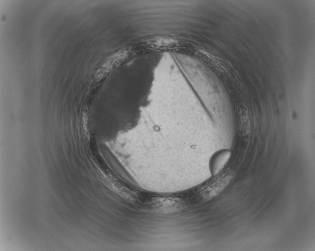 X0000079280654200612081754