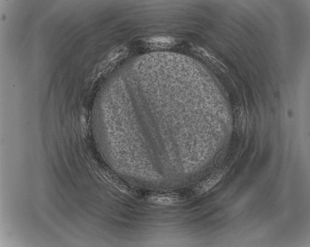 X0000079280655200612081754