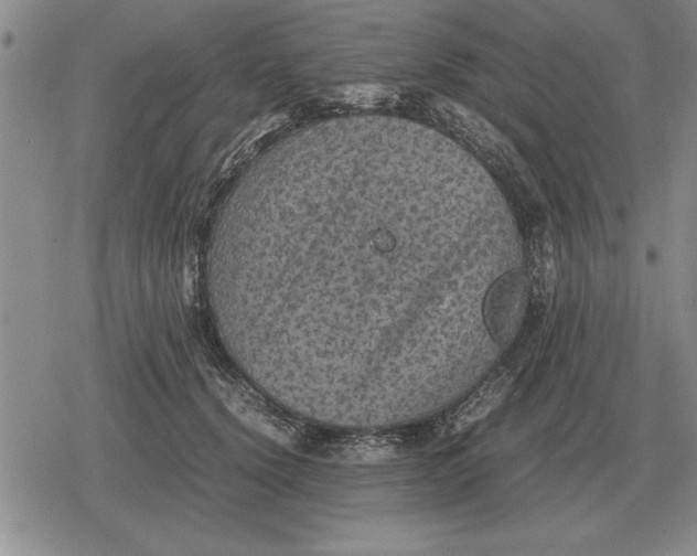 X0000079280656200612081754