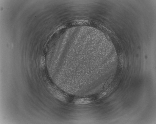 X0000079280657200612081754