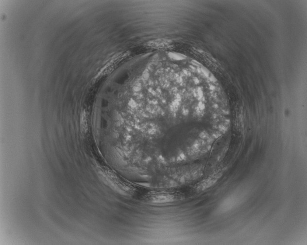 X0000079280658200612081754