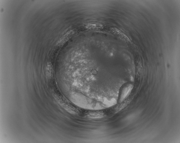 X0000079280659200612081754