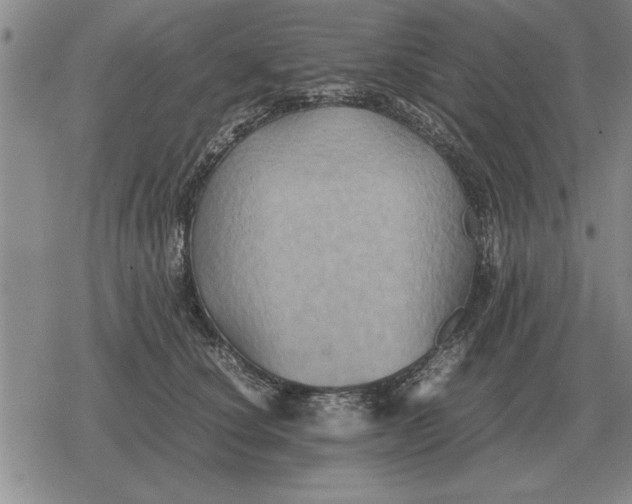 X0000079280660200612081754