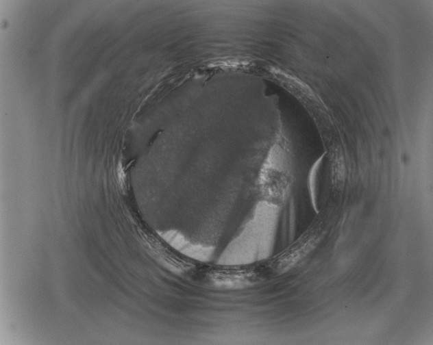 X0000079280661200612081754