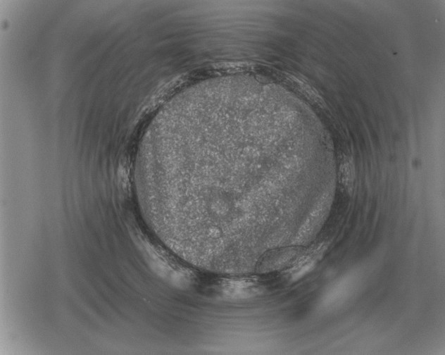 X0000079280662200612081754