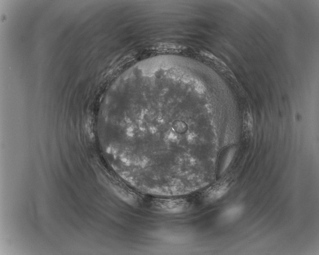 X0000079280663200612081754