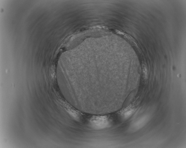 X0000079280665200612081754