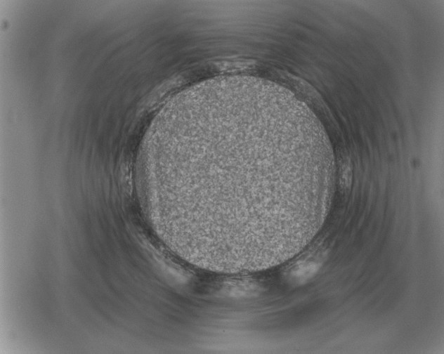 X0000079280666200612081754