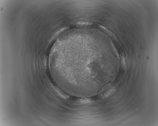 X0000079280668200612081754