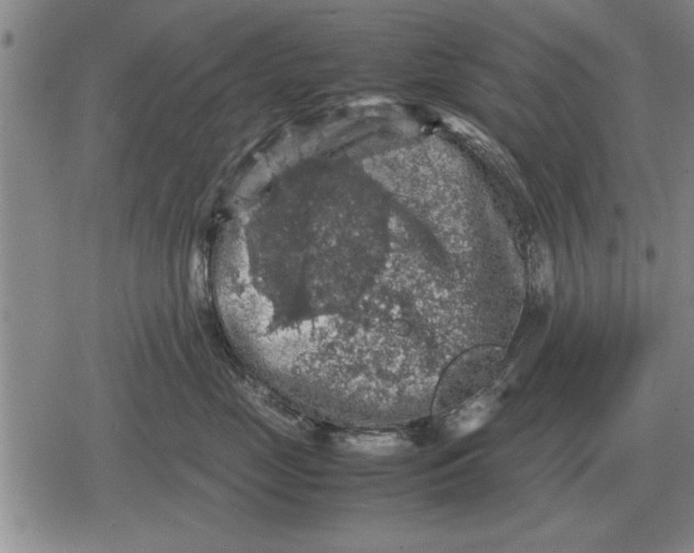 X0000079280669200612081754