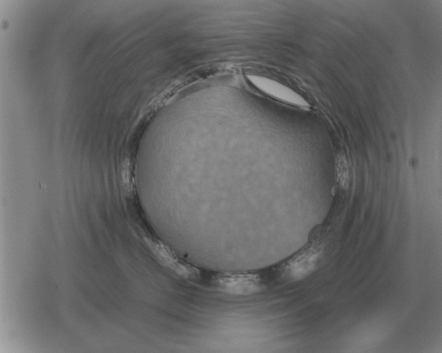 X0000079280670200612081754