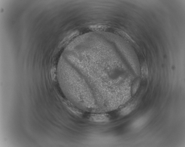 X0000079280671200612081754