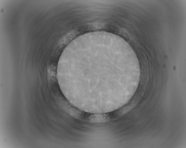 X0000079280672200612081754