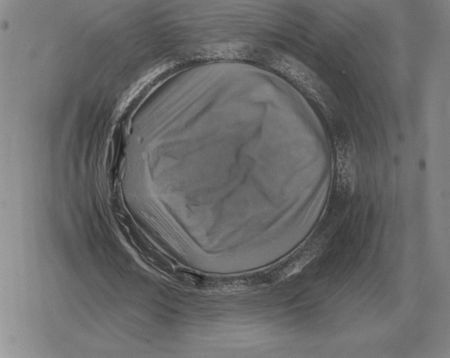 X0000079280674200612081754