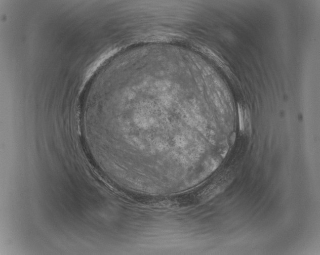 X0000079280675200612081754