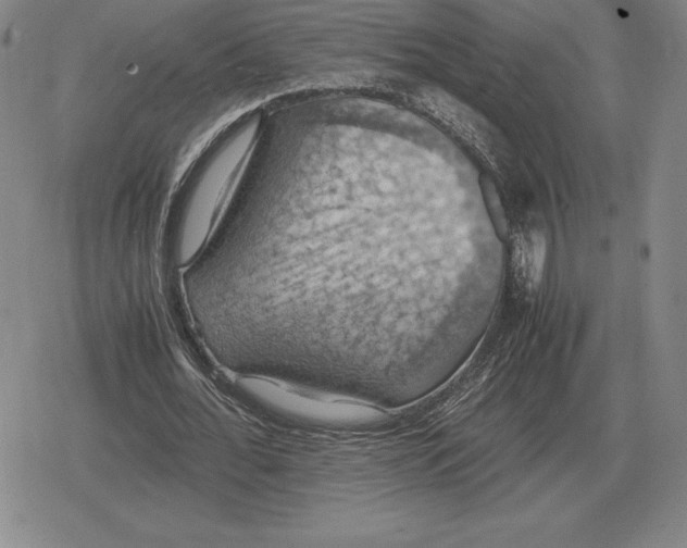 X0000079280676200612081754