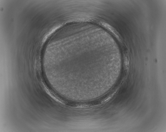 X0000079280677200612081754