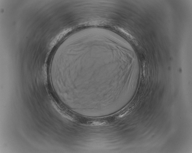 X0000079280678200612081754