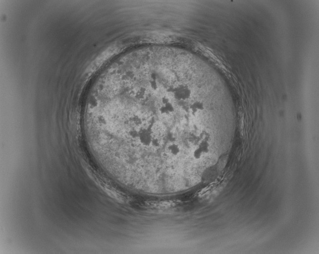 X0000079280679200612081754