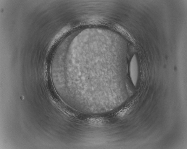 X0000079280680200612081754