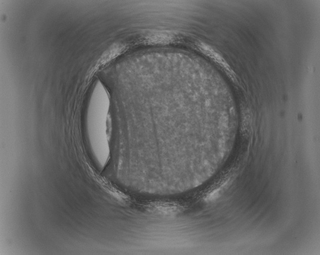 X0000079280681200612081754