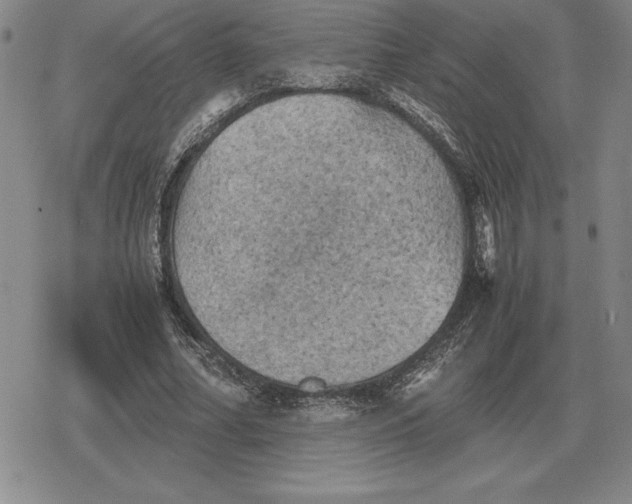 X0000079280682200612081754