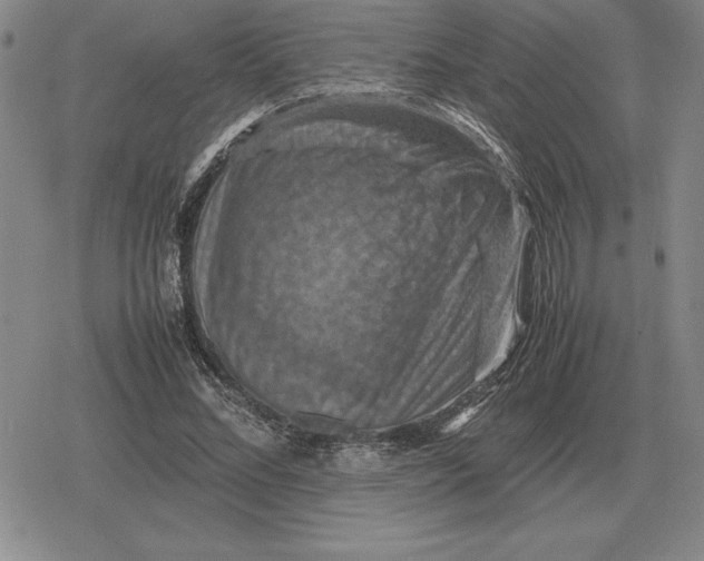 X0000079280684200612081754