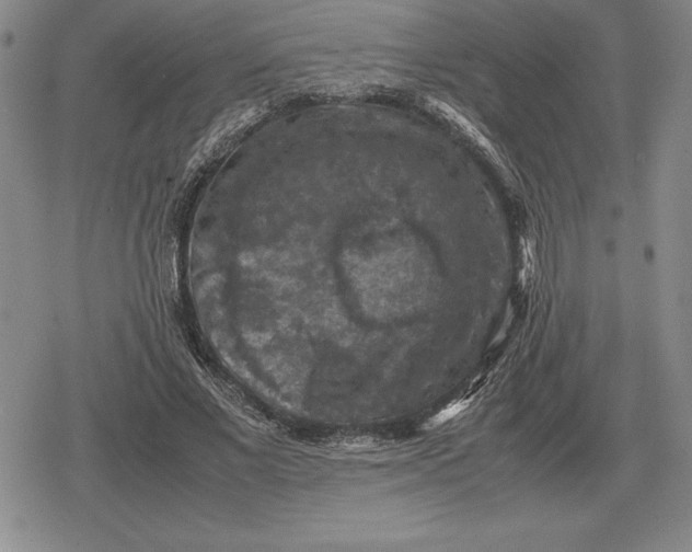 X0000079280685200612081753