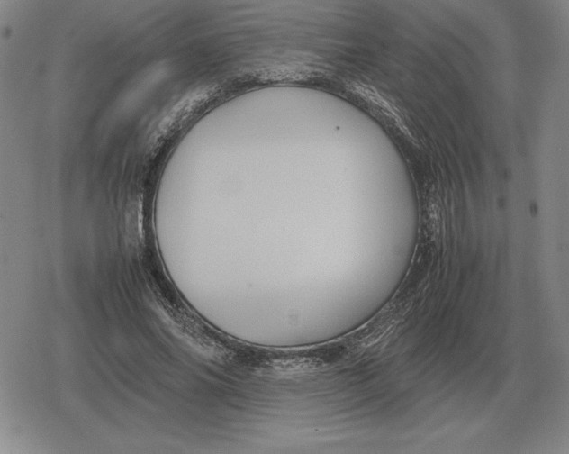 X0000079280686200612081753