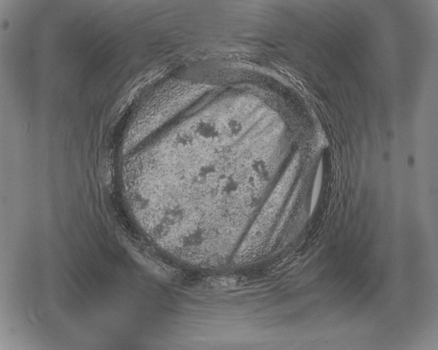 X0000079280687200612081753