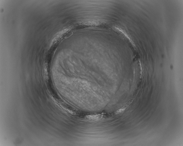 X0000079280688200612081753