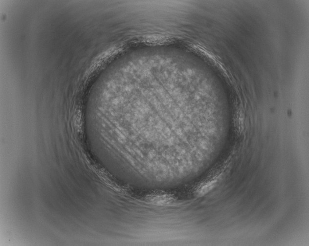 X0000079280689200612081753