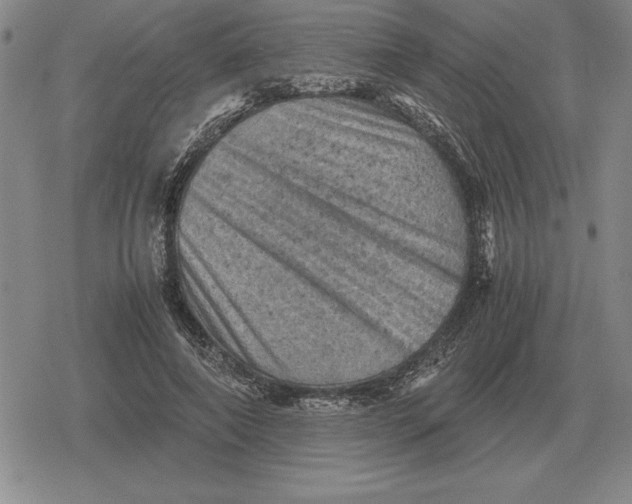 X0000079280690200612081753