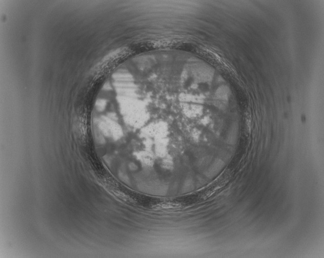 X0000079280691200612081753