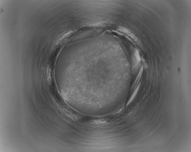 X0000079280692200612081753