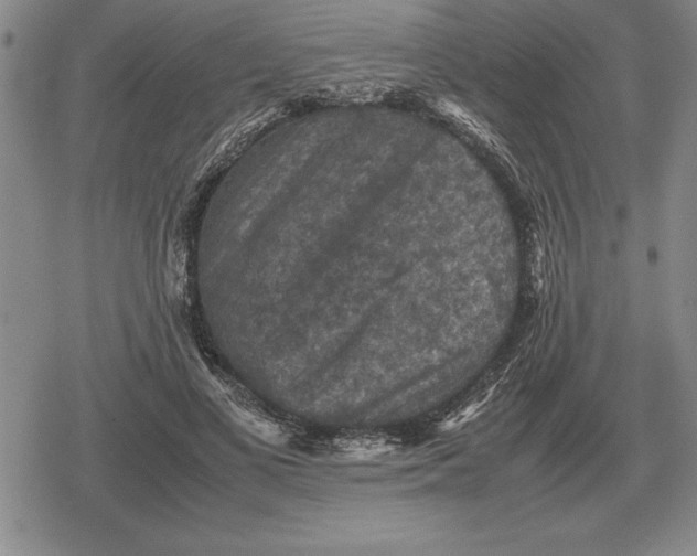 X0000079280693200612081753