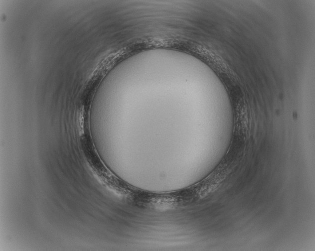 X0000079280694200612081753