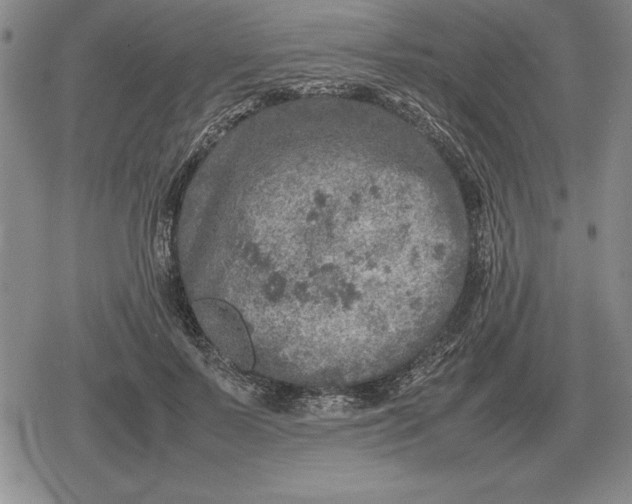 X0000079280695200612081753