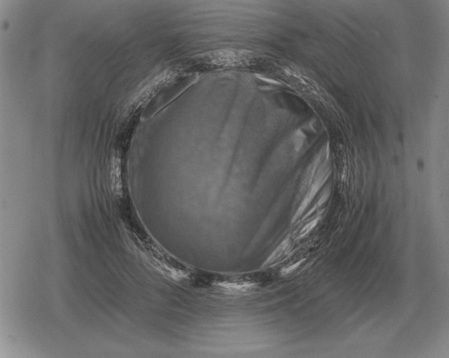 X0000079280696200612081753