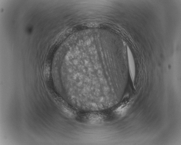 X0000079280697200612081753