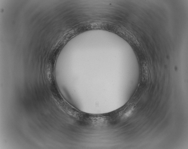 X0000079280698200612081753