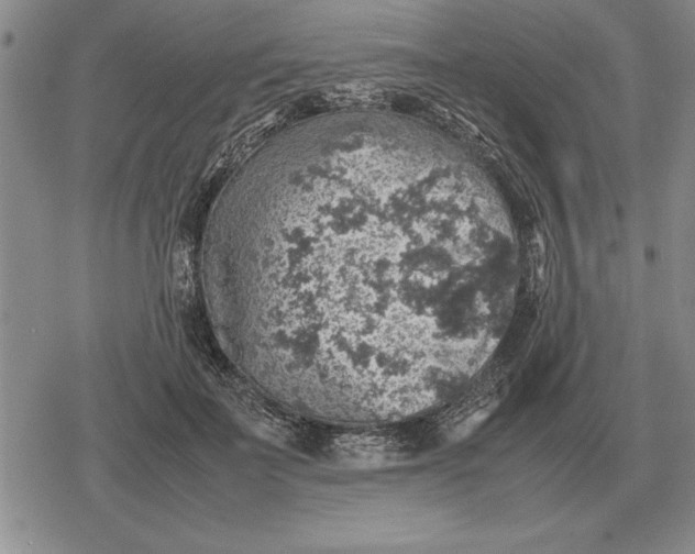 X0000079280699200612081753