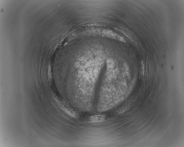 X0000079280700200612081753