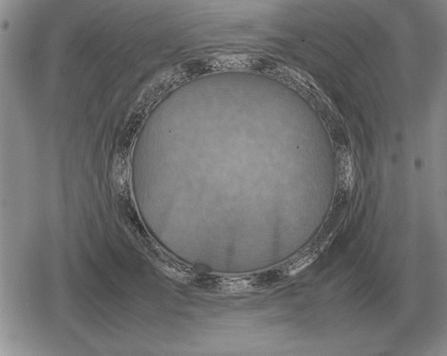 X0000079280701200612081753